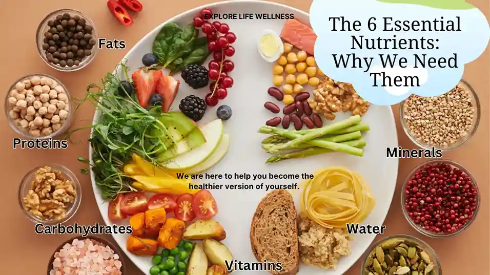 essential-nutrients-needed-daily