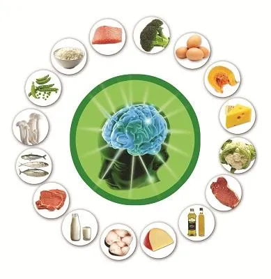 foods-that-help-improve-focus-and-memory
