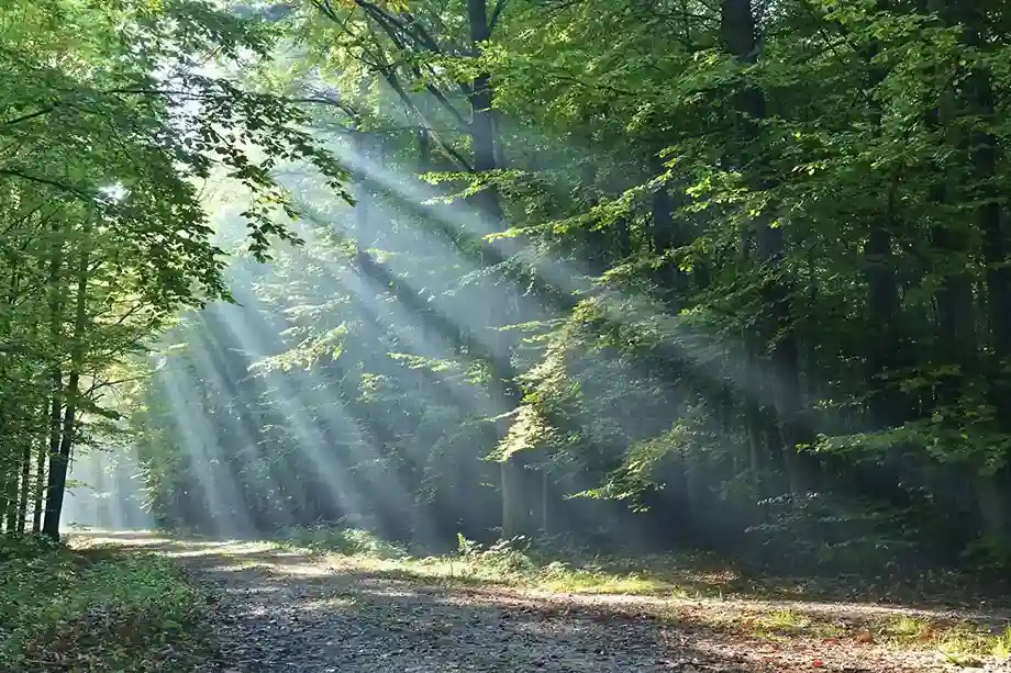 grounding-resourcing-techniques-for-overwhelming-emotions