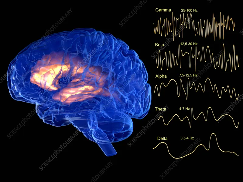 how-to-make-the-brain-wake-up-immediately