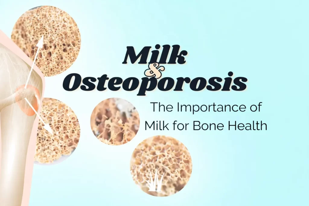 milk-for-adults-helps-prevent-osteoporosis