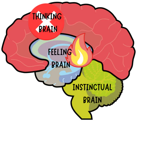 what-is-the-reason-your-brain-reacts