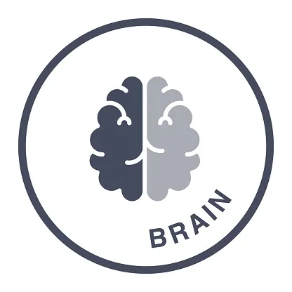what-is-the-reason-your-brain-reacts