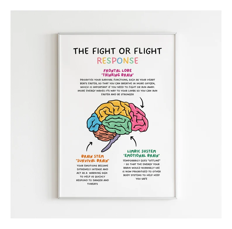 what-is-the-reason-your-brain-reacts