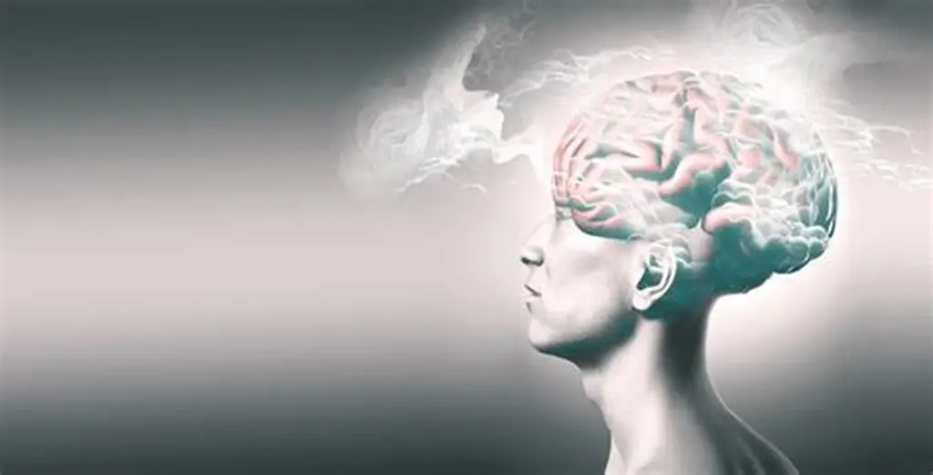 you-are-experiencing-brain-fog-but-maybe-you-dont-know